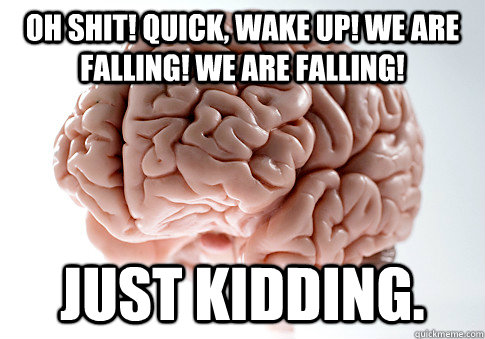 Oh shit! quick, wake up! we are falling! we are falling! just kidding.   Scumbag Brain