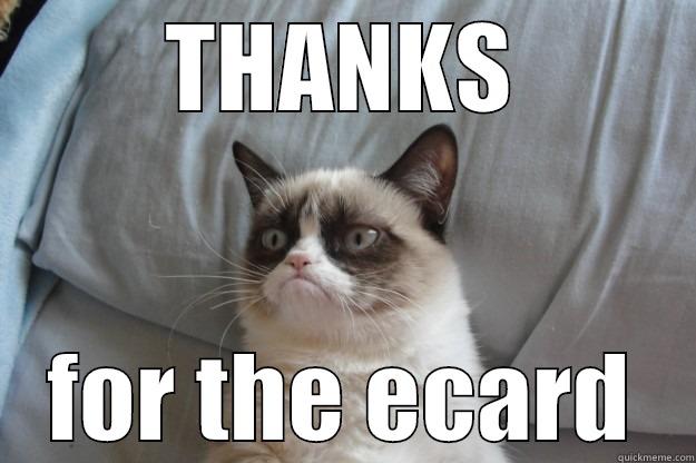 THANKS FOR THE ECARD Grumpy Cat