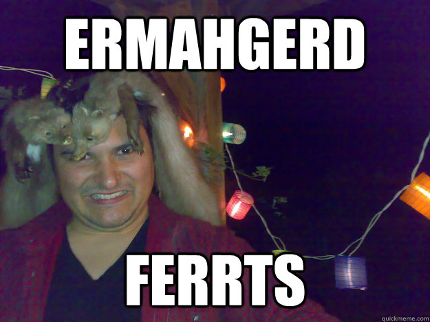 ERMAHGERD FERRTS  