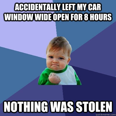 Accidentally Left my car window wide open for 8 hours Nothing was stolen  Success Kid