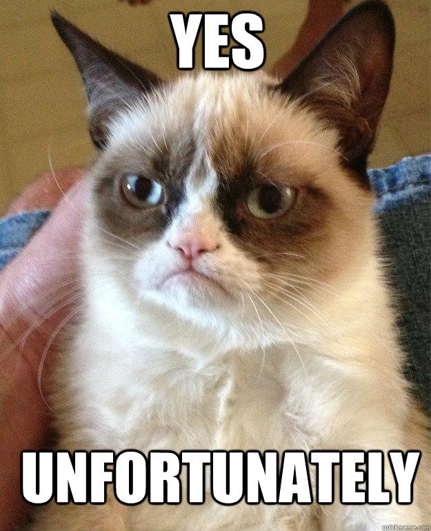 YES unfortunately  Grumpy Cat