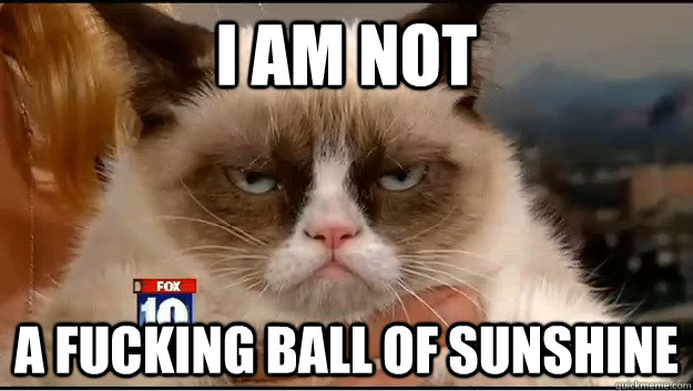 I am not a fucking ball of sunshine - I am not a fucking ball of sunshine  Grumpy Cat Is Serious