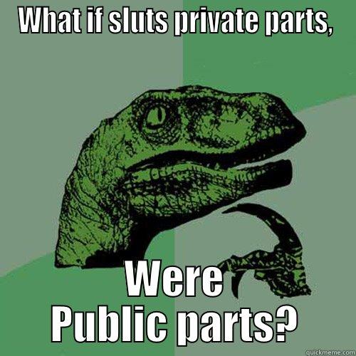 WHAT IF SLUTS PRIVATE PARTS, WERE PUBLIC PARTS? Philosoraptor