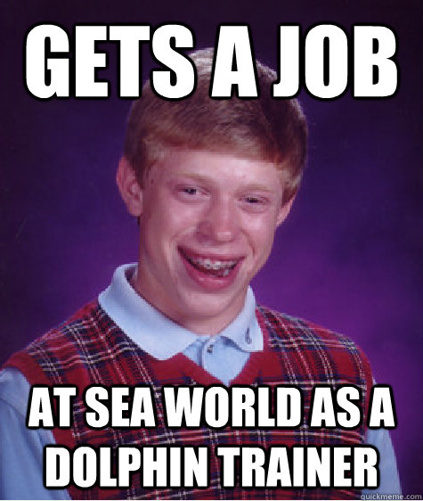 Gets a Job at sea world as a dolphin trainer   Bad Luck Brian