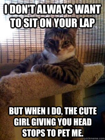 I don't always want to sit on your lap but when I do, the cute girl giving you head stops to pet me.  The Most Interesting Cat in the World
