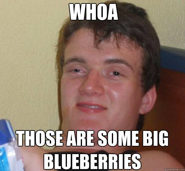 whoa those are some big blueberries - whoa those are some big blueberries  ten guy