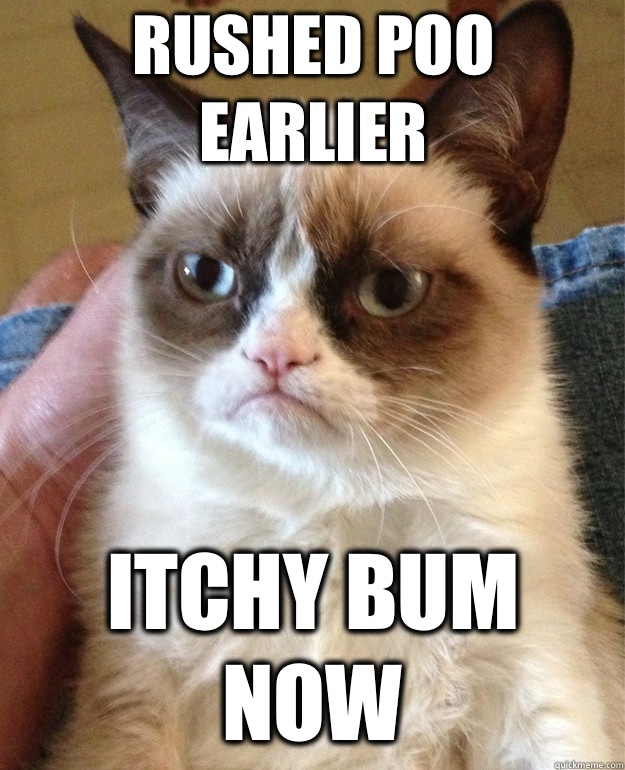 Rushed poo earlier Itchy bum now - Rushed poo earlier Itchy bum now  Grumpy Cat