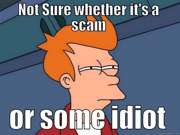 NOT SURE WHETHER IT'S A SCAM OR SOME IDIOT Futurama Fry