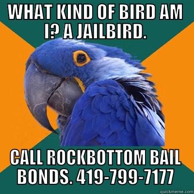 I am a jailbird - WHAT KIND OF BIRD AM I? A JAILBIRD. CALL ROCKBOTTOM BAIL BONDS. 419-799-7177 Paranoid Parrot