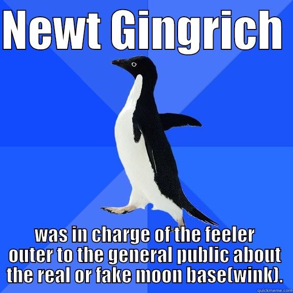 NEWT GINGRICH  WAS IN CHARGE OF THE FEELER OUTER TO THE GENERAL PUBLIC ABOUT THE REAL OR FAKE MOON BASE(WINK). Socially Awkward Penguin