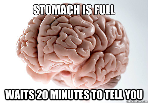 Stomach is full Waits 20 minutes to tell you   Scumbag Brain