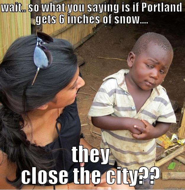 WAIT.. SO WHAT YOU SAYING IS IF PORTLAND GETS 6 INCHES OF SNOW.... THEY CLOSE THE CITY?? Skeptical Third World Kid