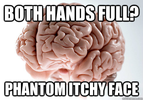 BOTH HANDS FULL? PHANTOM ITCHY FACE  Scumbag Brain