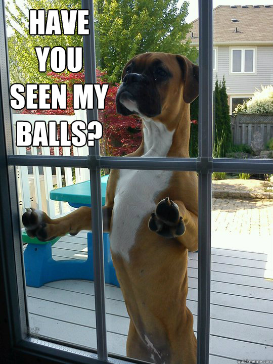 Have you seen my balls?   