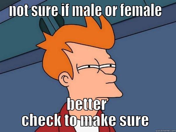 NOT SURE IF MALE OR FEMALE  BETTER CHECK TO MAKE SURE  Futurama Fry