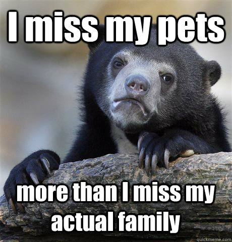 I miss my pets more than I miss my actual family  Confession Bear