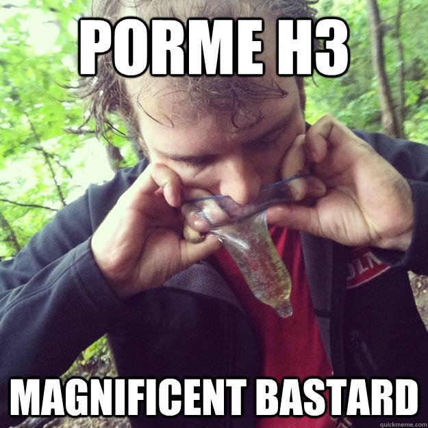PorME h3 magnificent bastard  