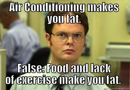 Dwight Air Conditioning - AIR CONDITIONING MAKES YOU FAT. FALSE: FOOD AND LACK OF EXERCISE MAKE YOU FAT.  Dwight