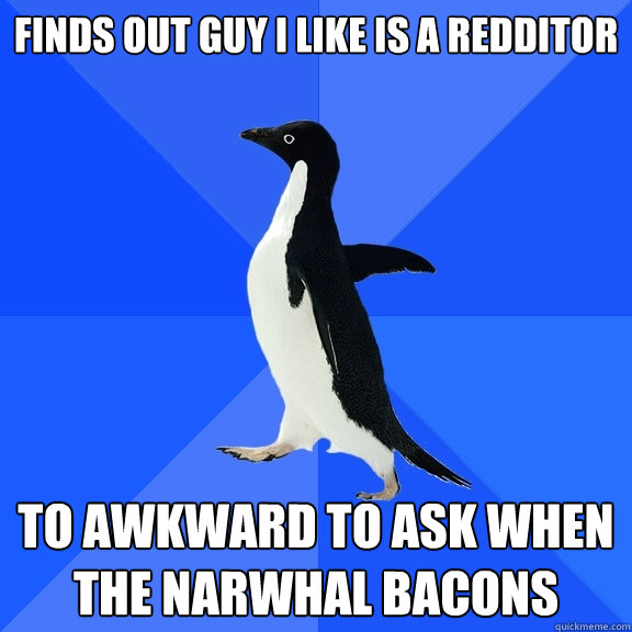 finds out guy I like is a redditor to awkward to ask when the Narwhal bacons  Socially Awkward Penguin