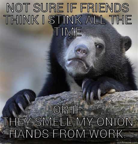 NOT SURE IF FRIENDS THINK I STINK ALL THE TIME OR IF THEY SMELL MY ONION HANDS FROM WORK. Confession Bear