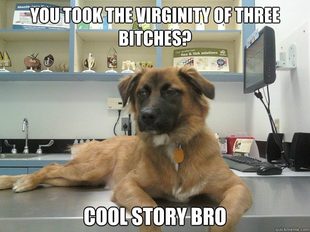 You took the virginity of three bitches? 
Cool Story Bro - You took the virginity of three bitches? 
Cool Story Bro  Unamused Dog