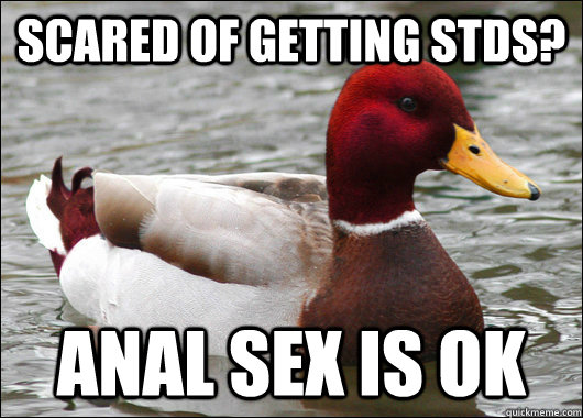 Scared of getting STDs? anal sex is ok  Malicious Advice Mallard