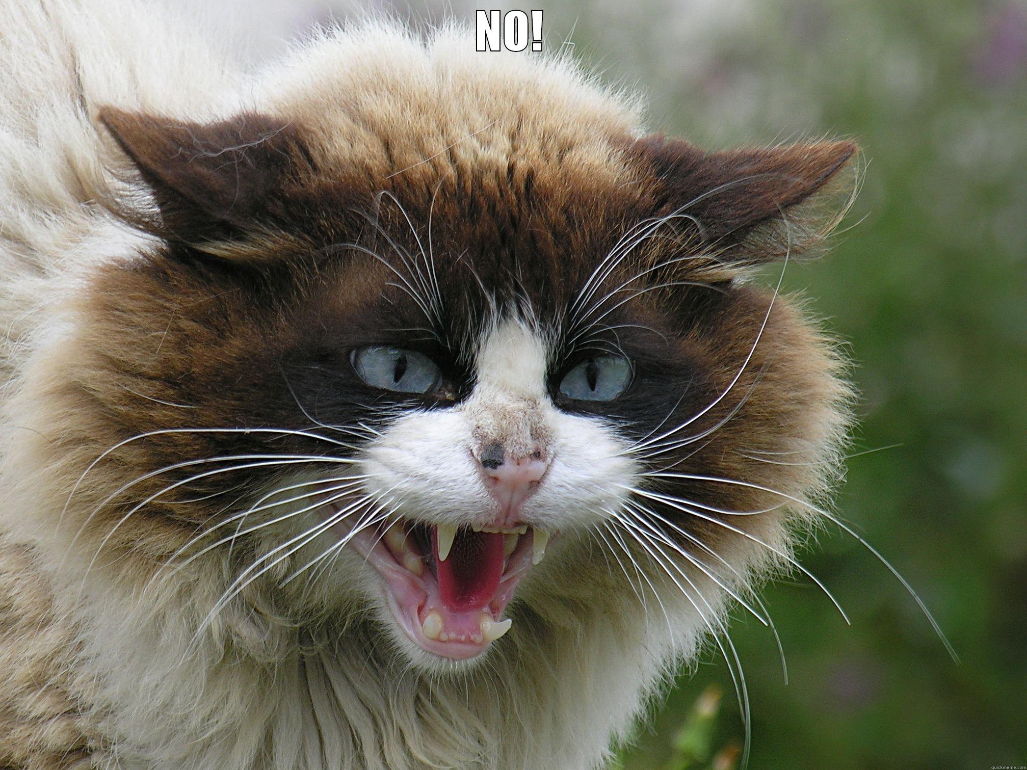 NO!  Misc