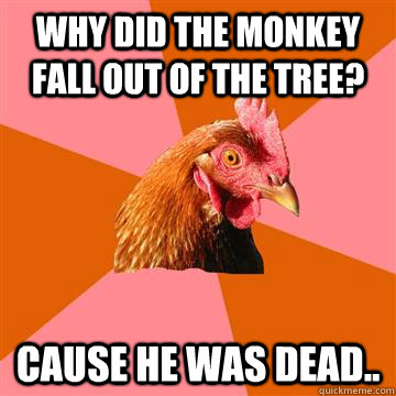 why did the monkey fall out of the tree? Cause he was dead..  Anti-Joke Chicken