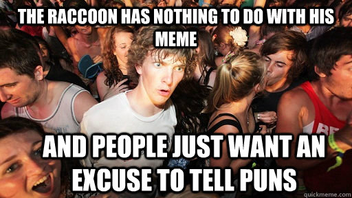 the raccoon has nothing to do with his meme and people just want an excuse to tell puns  Sudden Clarity Clarence