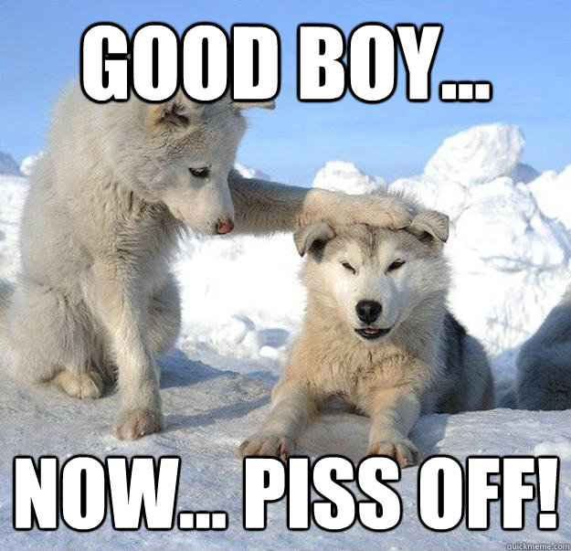 good boy... NOW... PISS OFF!  Caring Husky