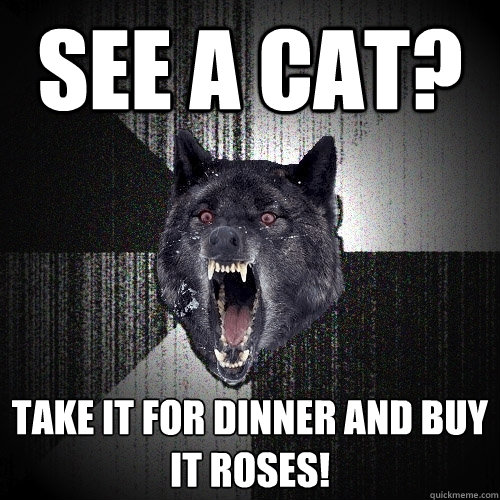 See a cat? take it for dinner and buy it roses!  Insanity Wolf