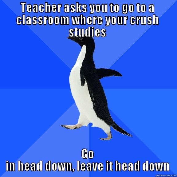 TEACHER ASKS YOU TO GO TO A CLASSROOM WHERE YOUR CRUSH STUDIES GO IN HEAD DOWN, LEAVE IT HEAD DOWN Socially Awkward Penguin