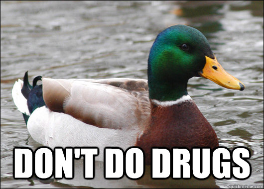  Don't do drugs  Actual Advice Mallard