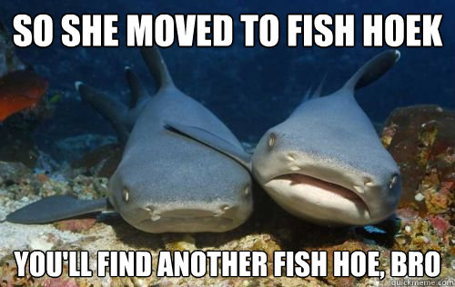 So she moved to fish hoek you'll find another fish hoe, bro  Compassionate Shark Friend