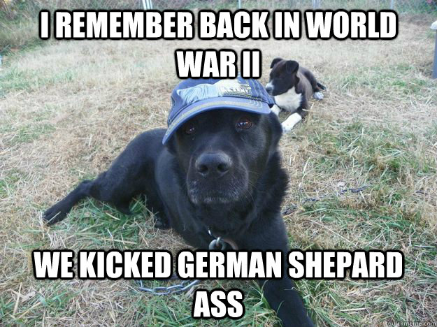 i remember back in world war II we kicked german shepard ass - i remember back in world war II we kicked german shepard ass  1300 doller dog