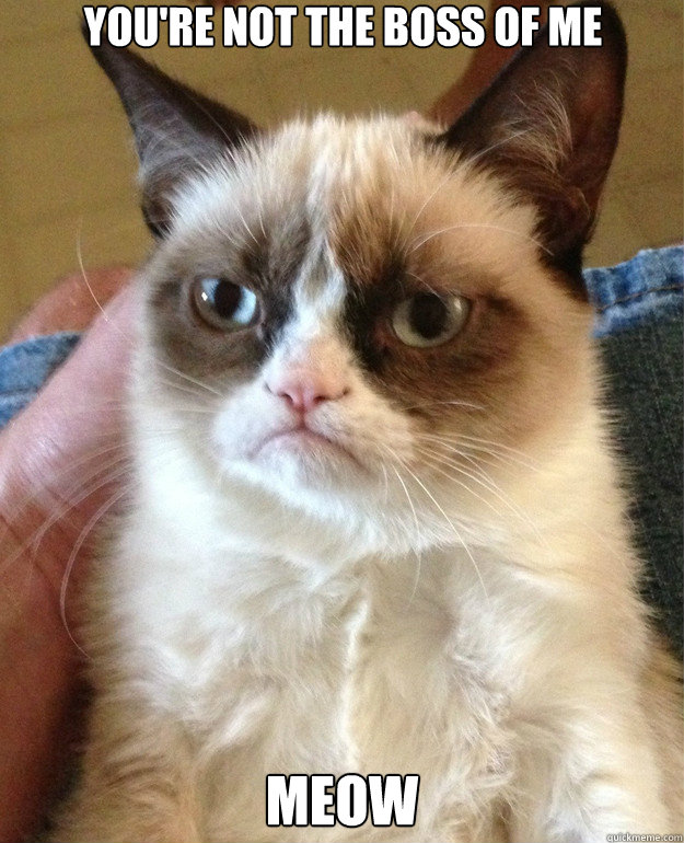 You're not the boss of me MEOW - You're not the boss of me MEOW  Grumpy Cat