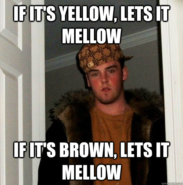 If it's yellow, lets it mellow If it's brown, lets it mellow  Scumbag Steve