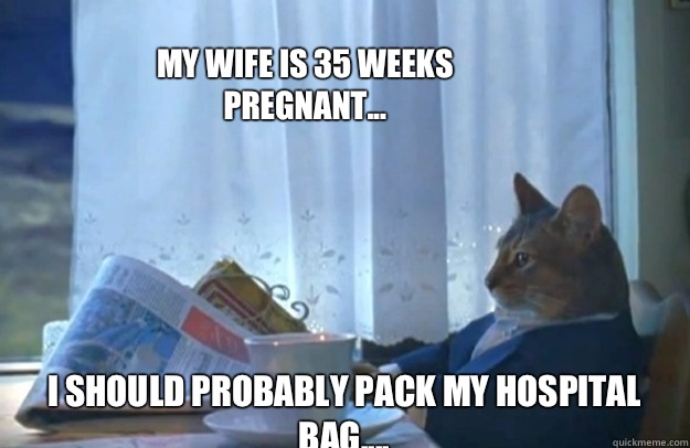 My wife is 35 weeks pregnant...  I should probably pack my hospital bag....  Sophisticated Cat