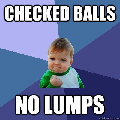 Checked balls no lumps - Checked balls no lumps  Success Kid