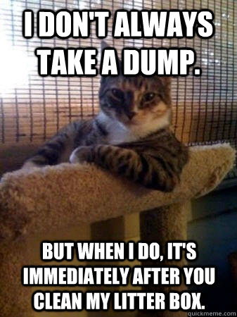 I don't always take a dump. But when I do, it's immediately after you clean my litter box.  The Most Interesting Cat in the World