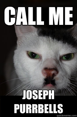 Call me joseph Purrbells - Call me joseph Purrbells  Hitler cat