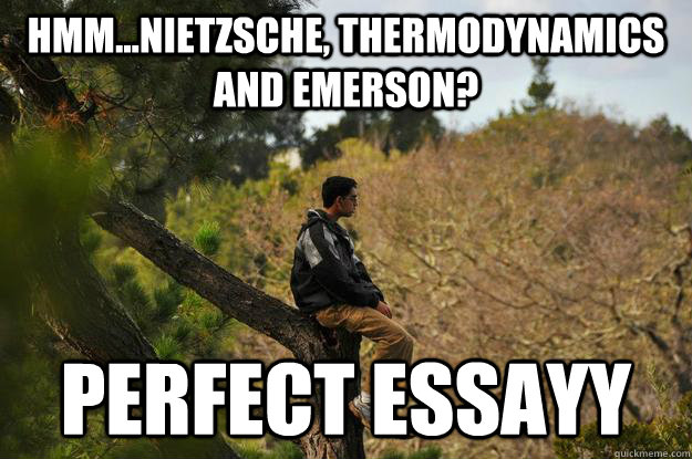 hmm...Nietzsche, thermodynamics and Emerson? Perfect essayy  - hmm...Nietzsche, thermodynamics and Emerson? Perfect essayy   Absorbed Adi