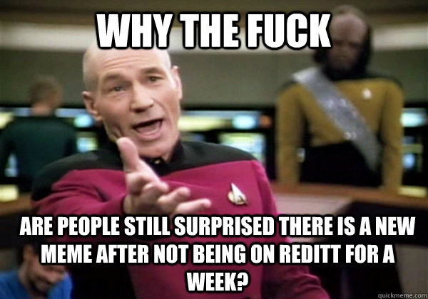 Why the fuck are people still surprised there is a new meme after not being on reditt for a week?  Patrick Stewart WTF