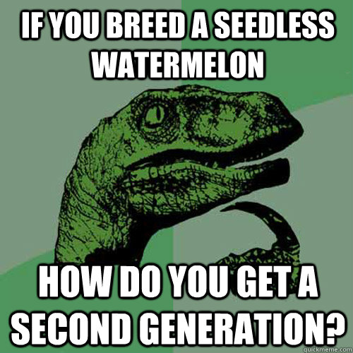 If you breed a seedless watermelon How do you get a second generation?  Philosoraptor