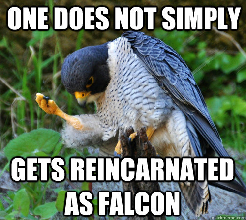 One does not simply Gets reincarnated as falcon - One does not simply Gets reincarnated as falcon  Success Falcon