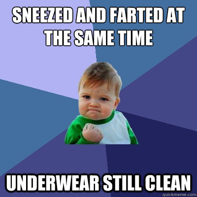 sneezed and farted at the same time underwear still clean  Success Kid