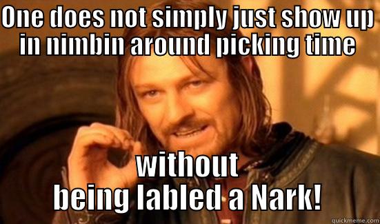 ONE DOES NOT SIMPLY JUST SHOW UP IN NIMBIN AROUND PICKING TIME WITHOUT BEING LABLED A NARK! Boromir