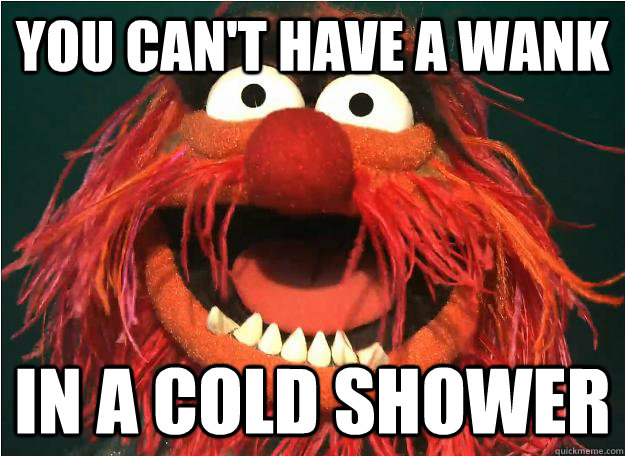 you can't have a wank in a cold shower  Advice Animal
