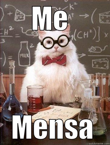 Mensa Kitty - ME  MENSA Chemistry Cat