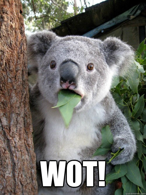 W0T!   Surprised Koala